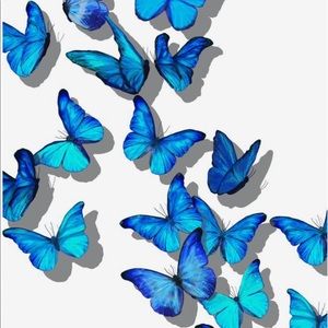 Meet your Posher, Yahimi